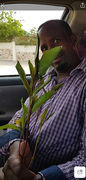 Файл:IMG 20221227 222829 625.jpg