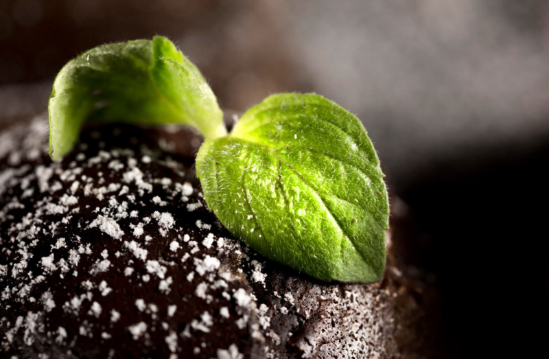 Файл:Screenshot 1dq36.png