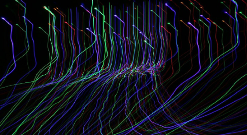 Файл:2025-07-29 16-15-11.png