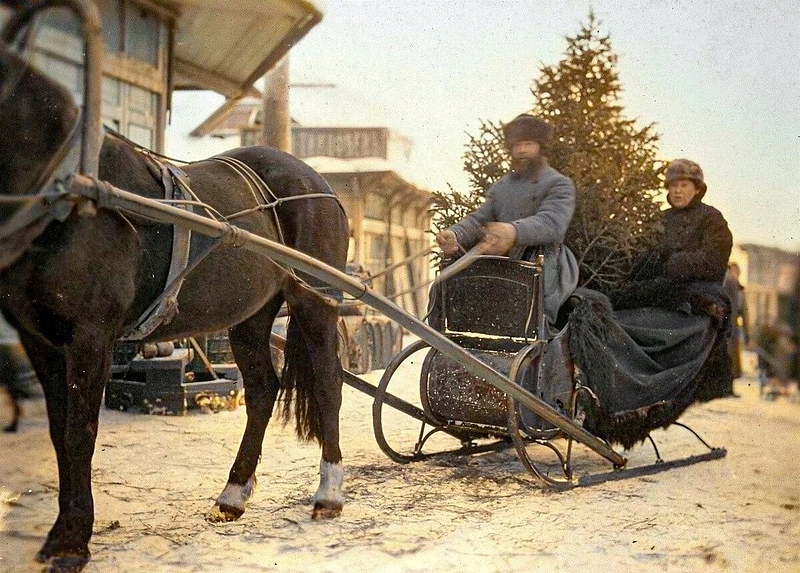 Файл:IMG 20250105 155454 557.jpg