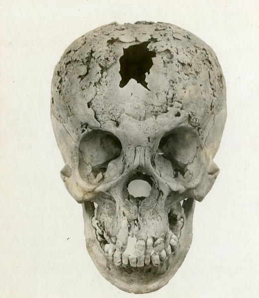 Файл:IMG 20200801 180755 084.jpg