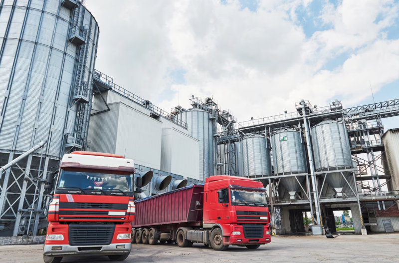 Файл:Screenshot 1450.png