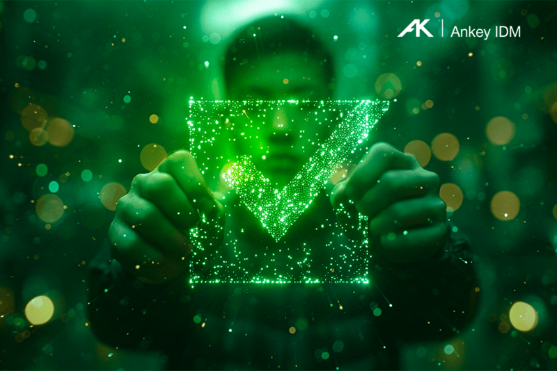Файл:Ankey IDM Релиз 1000х667.png